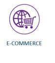 e-commerce WSI