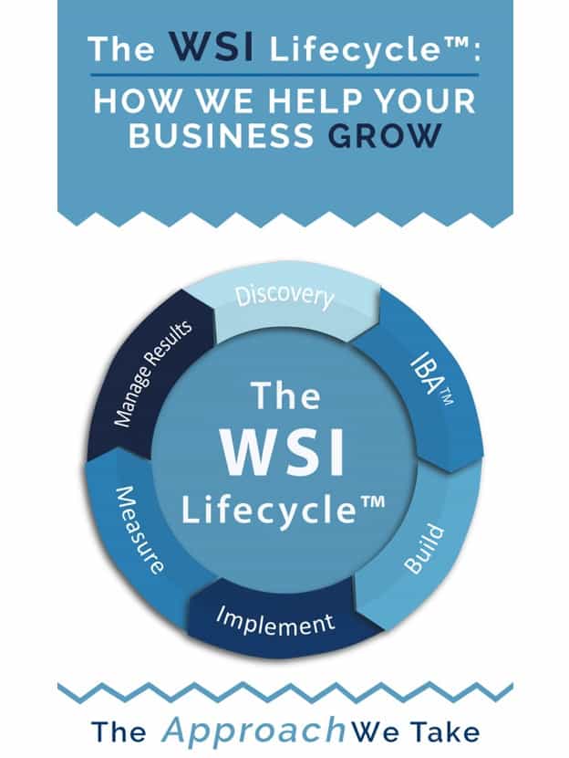 nuestra metodologia WSI lifecycle